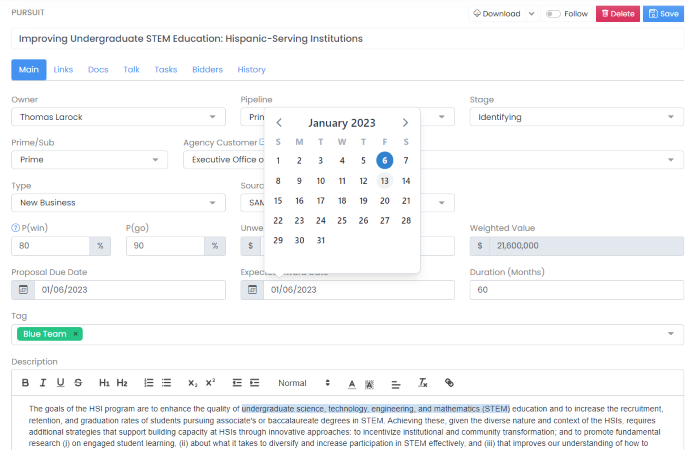 Business Development Capture Management Example